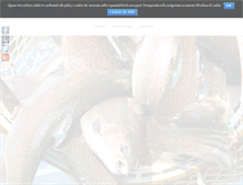 Tablet Screenshot of fattoriadelpesce.com